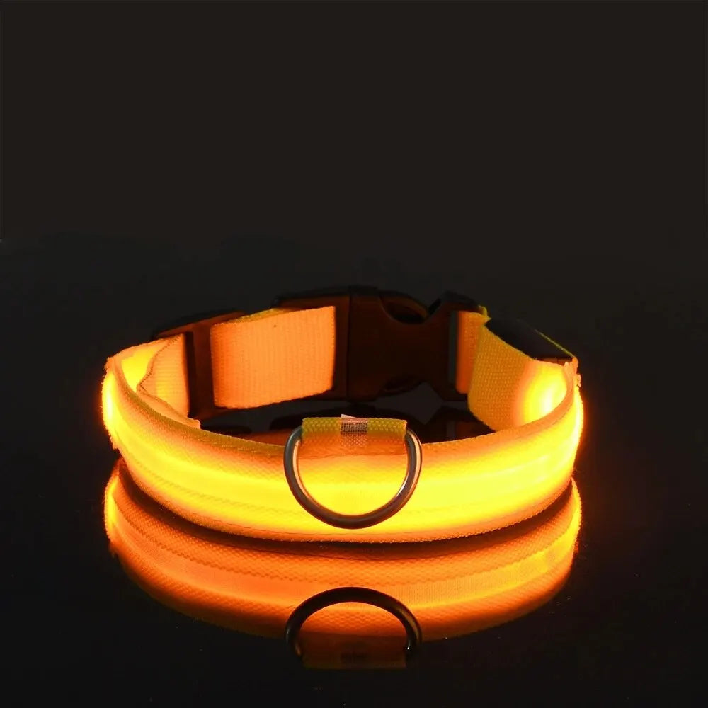 LED NYLON PET LEASH & COLLAR SET