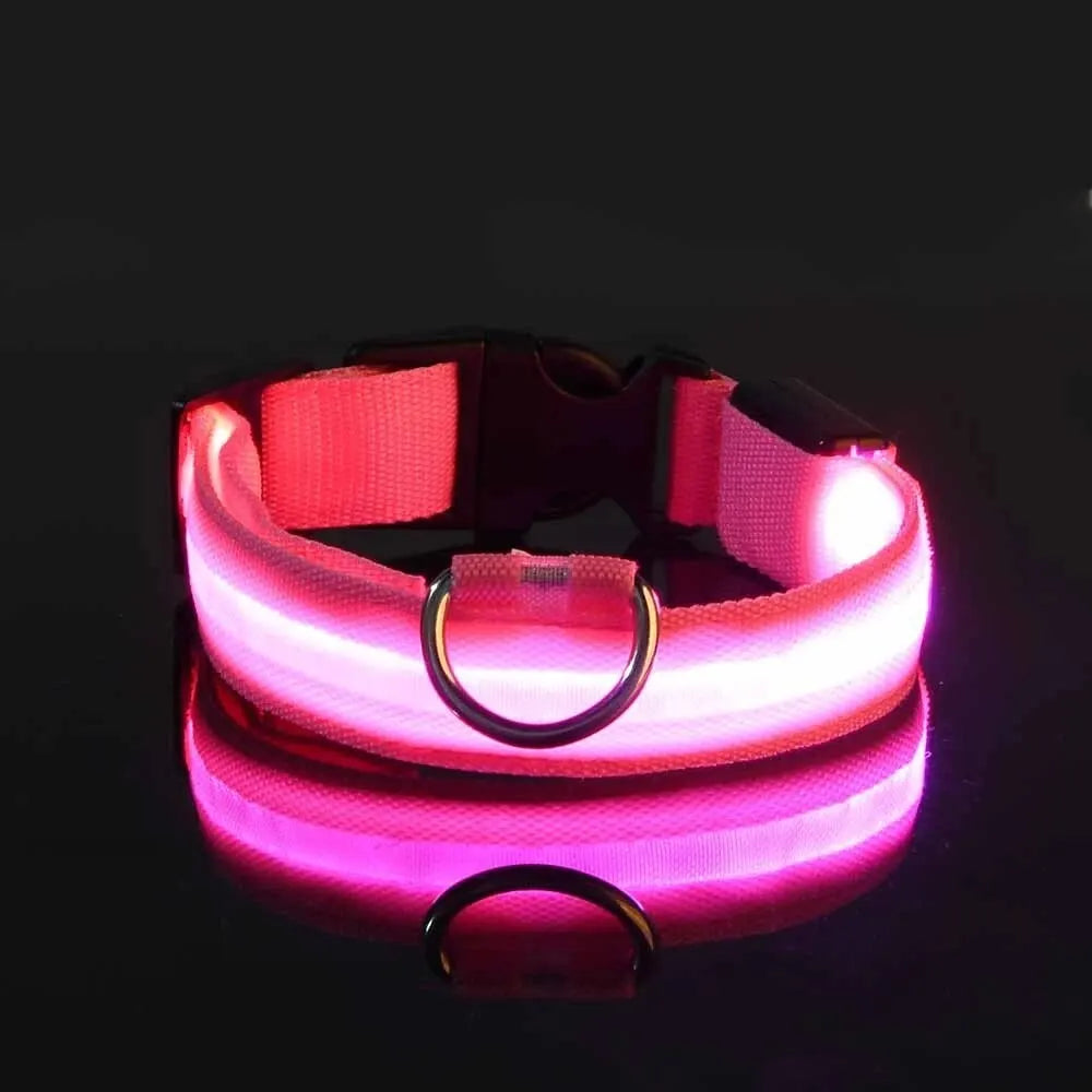 LED NYLON PET LEASH & COLLAR SET