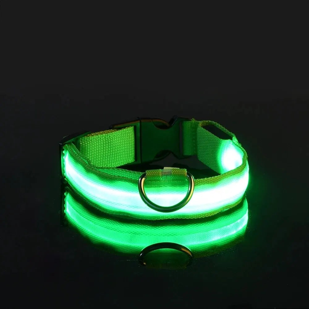 LED NYLON PET LEASH & COLLAR SET