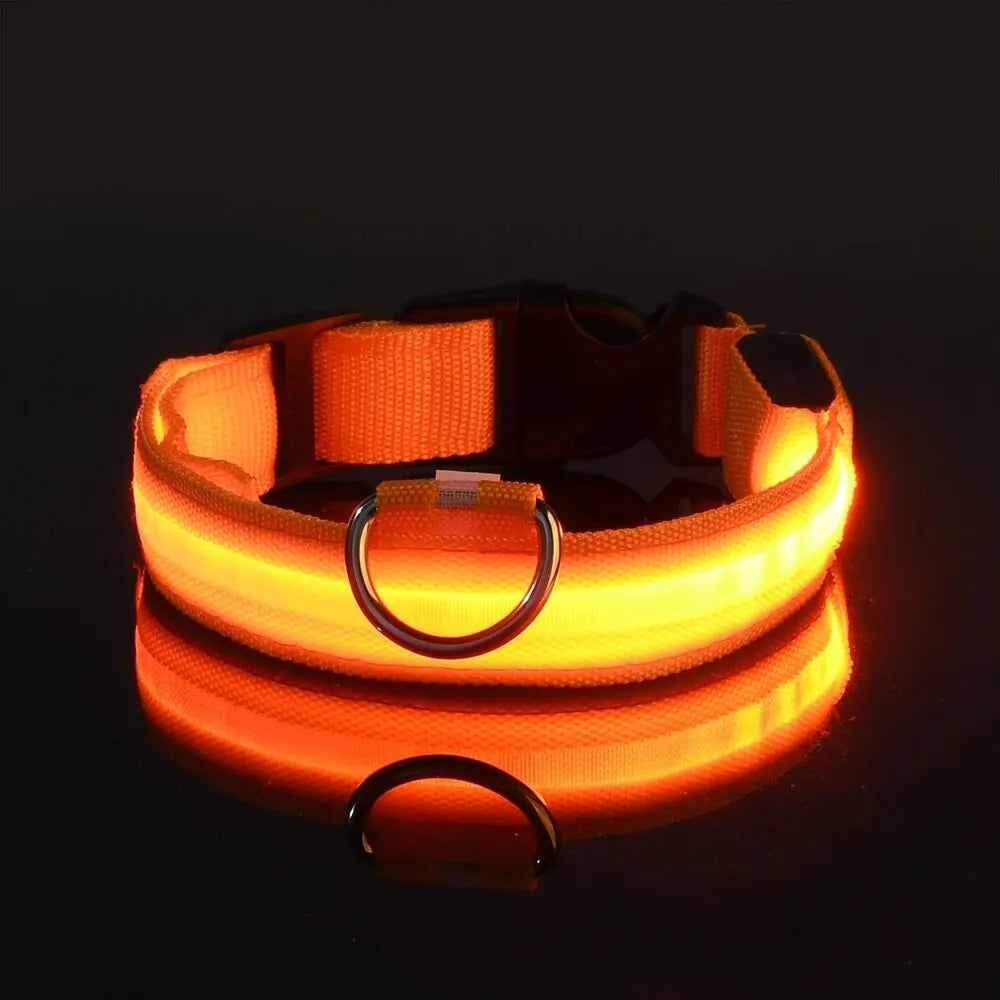 LED NYLON PET LEASH & COLLAR SET