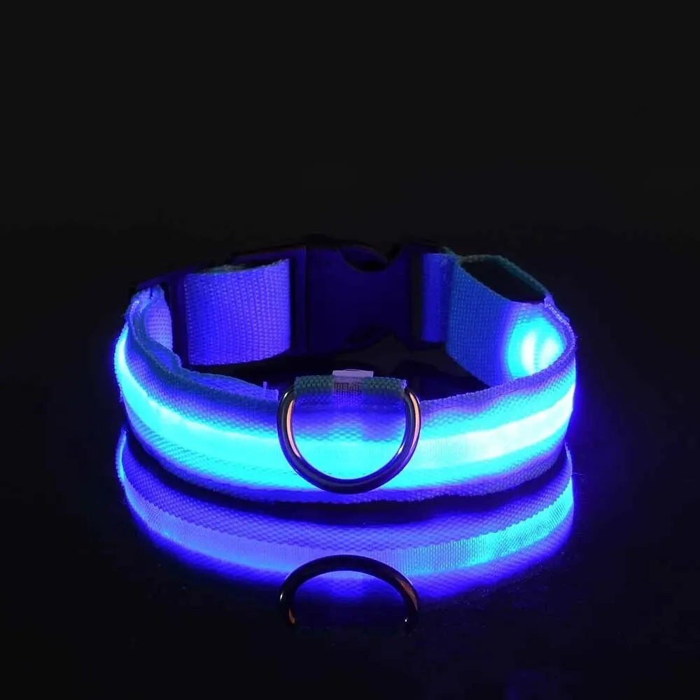 LED NYLON PET LEASH & COLLAR SET