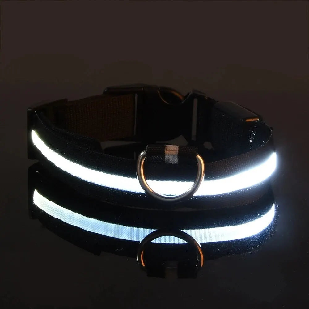 LED NYLON PET LEASH & COLLAR SET