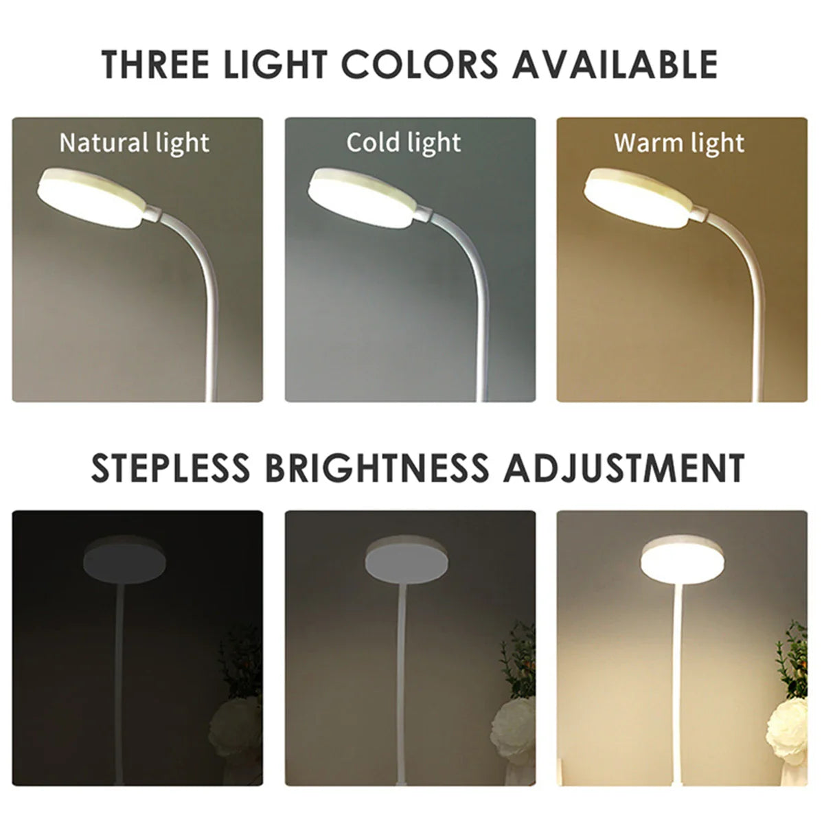 Portable LED Desk Lamp