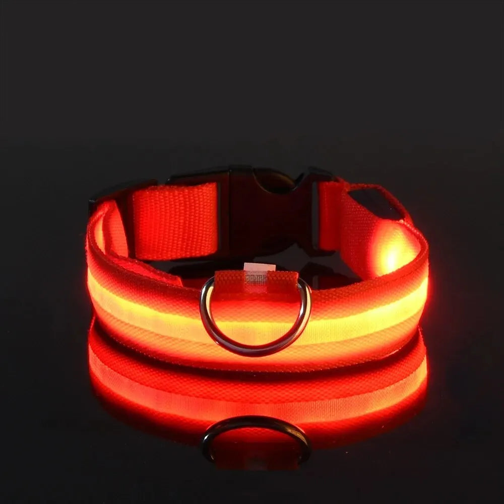 LED NYLON PET LEASH & COLLAR SET