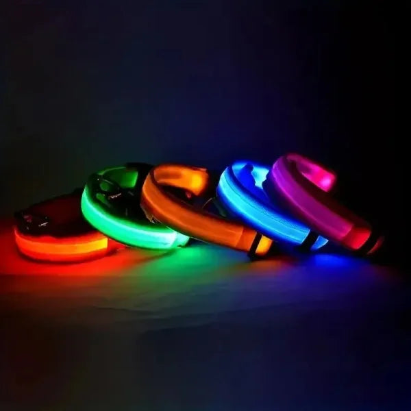 LED NYLON PET LEASH & COLLAR SET