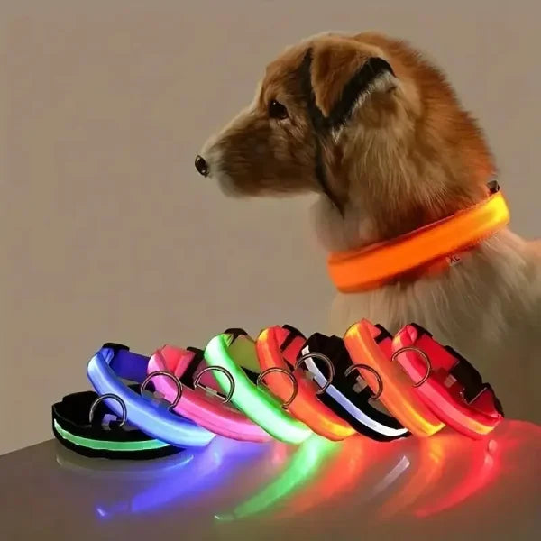 LED NYLON PET LEASH & COLLAR SET
