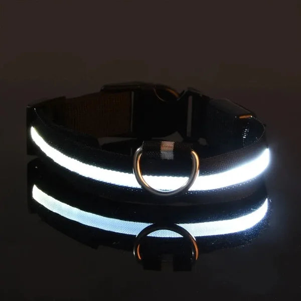 LED NYLON PET LEASH & COLLAR SET