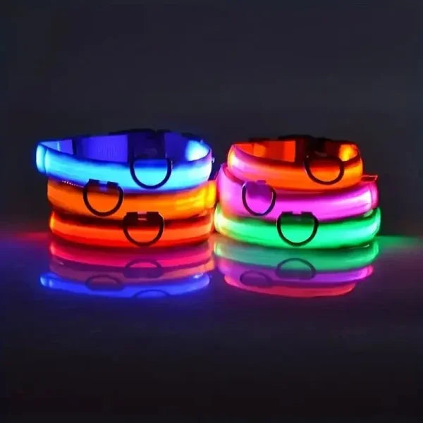 LED NYLON PET LEASH & COLLAR SET
